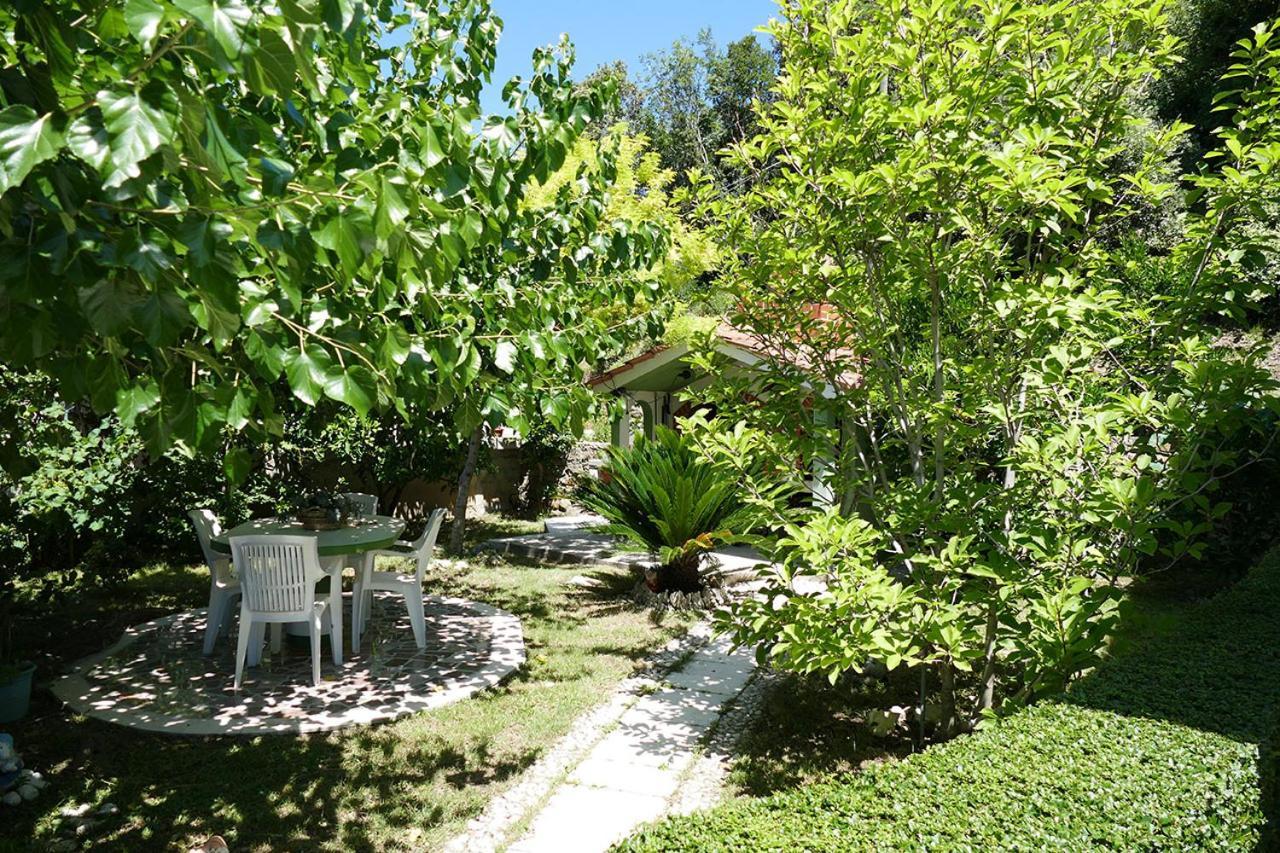 Apartments Davorka Kampor Екстериор снимка